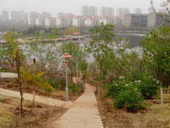-山东理工大学