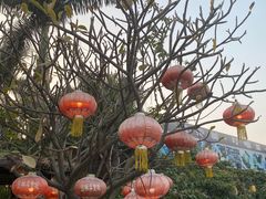 -园林美食城·本土农家菜(杨和镇店)