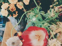 -Jo's Garden