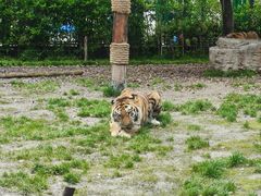 -上海野生动物园