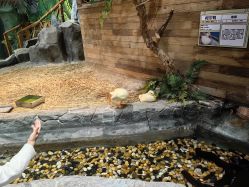 -Zoolung Zoolung动物主题公园(海信广场店)