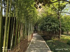 -陈家山荷花公园