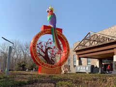 -南宫五洲植物乐园