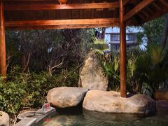 -水底山庄园温泉