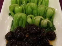 -燕春楼(海河华鼎店)