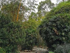 -人民公园(罗湖区)