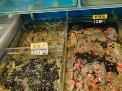 -老万烧烤(典逸心洲店)