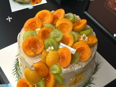 -山与蓝·轻糖鲜果蛋糕(勒泰店)