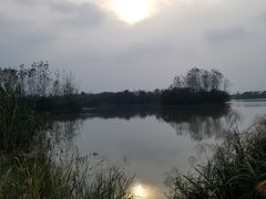 -杏花村文化旅游区