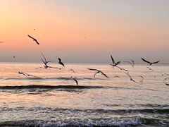 -老虎石海上公园