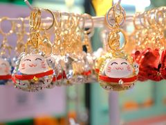 -猫咪博物馆(顶澳仔猫街店)