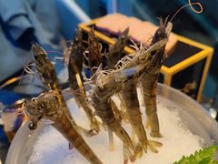 -王家渡火锅店(棕榈泉店)
