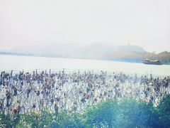 -湖畔居茶楼(湖滨店)
