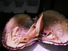 -十八字金·银饰·拼豆·开蚌DIY(魏公芳华里店)