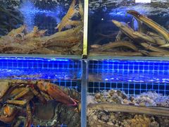 -开海·红岛海鲜虾水饺(石老人店)
