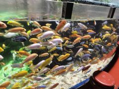 -太平洋海底世界