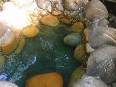 -咸宁万豪温泉谷度假区