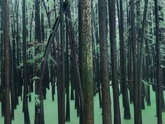 -青山湖景区