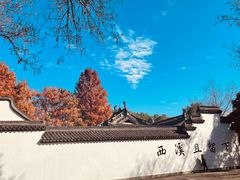 -西溪国家湿地公园