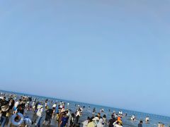 -日照海滨国家森林公园