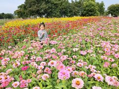 -径山花海