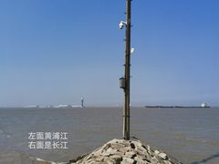 -上海滨江森林公园
