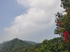 -缙云山景区