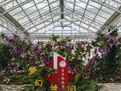 -东平国家森林公园