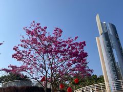-白石龙音乐公园