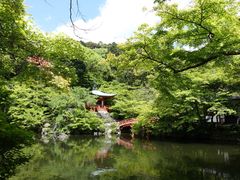 -醍醐寺