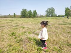 -汉长安城未央宫国家考古遗址公园