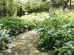 -玉女潭景区