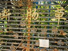 -广州神农草堂中医药博物馆