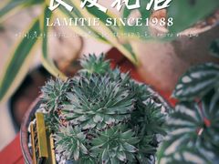 -良友花店(天目山路店)