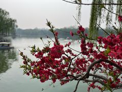 -陶然亭公园