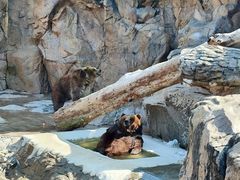 -珠海长隆海洋王国