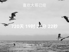 -暴风岛沉浸式体验馆(百联世纪店)