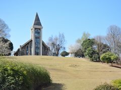 -成都保利公园皇冠假日酒店(熊猫基地店)