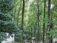 -杭州灵山景区