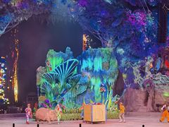 -广州长隆国际大马戏