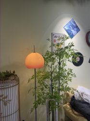 -变美丽半永久纹眉连锁·机器野生眉•洗眉