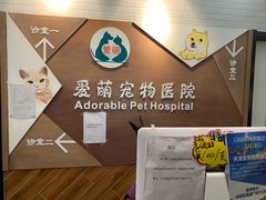 -美联众合宠物医院·爱萌分院·内外科·猫科中心