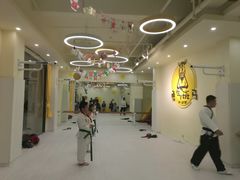 -勇气斑马·巴西柔术&跆拳道(浦东三林店)