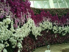 -石家庄市植物园