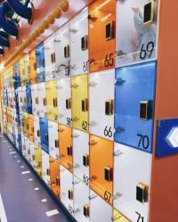 点击看大图 -爱丽丝奇幻乐园