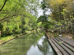 -同里国家湿地公园