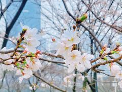 -西北湖绿化广场