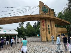 -五营红松林海景区