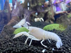 -正佳极地海洋世界