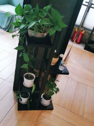 -香秀空间科技抗衰·美容中心
